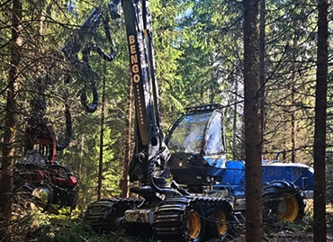 Portfolio picture template