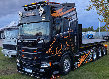 Portfolio picture template